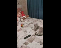 Baby girl plays with toy phone bed 