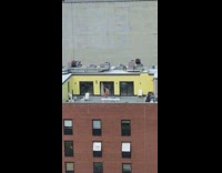 Long skirt guy rooftop stick dog 