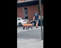 Collab WINY - Brown dog ride wagon pulled by man on crosswalk