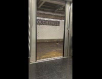 Collab winy - Hawk statue stares at filmer at subway