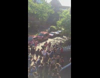 Seniors prank chickens goats at courtyard crowd