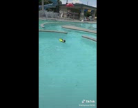 Pug in yellow life vest swimming quickly in whirlpool water