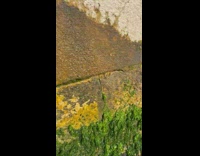 Woman walks down on stairs and slips