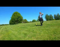 Brown dog grass field ball wide angle 