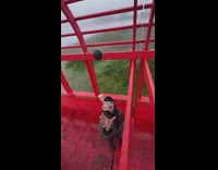 Guy throw kendama over bridge railings trick shot