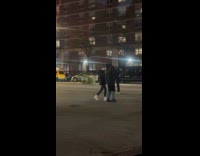 Collab WINY - Christmas tree roll down on street night