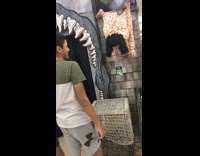 Guy slaps hits scary doll halloween store 