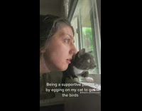 Woman watching cat look out window encourages it 