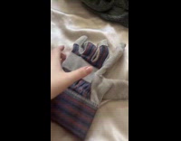 ALREADY SUBMITTED TO DOG - Dog gets jealous about everything
