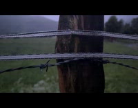 Guy shouts checks out the electrical fence