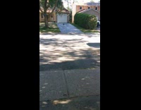 Cat stares other cat across the street