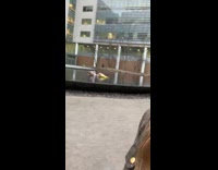 girl in fountain yellow floaty