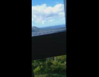 Small and thin bug on the balcony fence