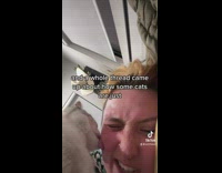 Cat licking girls face vitamin e oil doesnt stop