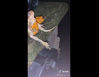 Collab BitchMP - Toad frog with cheez it sitting