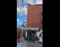 Guys pulls Christmas tree hang outside bakery