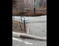 Robot dog walk at park tap ground