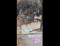 essential services blue shorts girl halo top