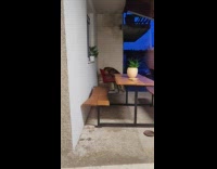 Brown dog scratch chair backrest outside house