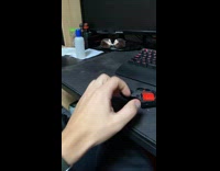 Dog take toy gun away from guy