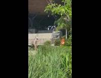 Woman silver beach bikini dress poolside pictorial Part 2