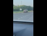 Frog goes under car hood freeway highway 