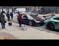 Dog runs away from robodog at sidewalk