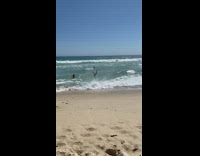 Wave knocks black shorts guy off feet 