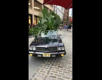 Black car drives with tons of plants 