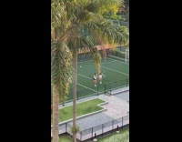 Two Girls Dance for Video on Tennis Court 