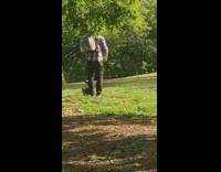 Cat Goes on a Walk with Pet Owner 