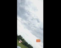 Little girl throws white frisbee and hits lady 