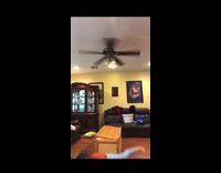 Girl dances hits leg box falls