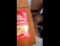 Man feeding dog shredded cheese names chihuahua