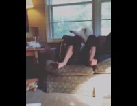 Dog tries to escape grip to get ball 