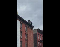 Person spray painting drawing on top of brick building