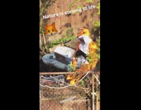 Fox onesie guy backyard laptop wind chimes 