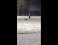 Shirtless guy jump ropes on snow 