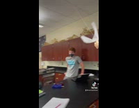 Collab BitchMP - Pig toy with wings flying on strings 