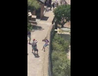 Monkey steals items from guys bag 