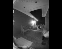 Bear steals away white pumpkin halloween decoration