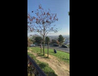 Woman in dress both hands raised while the photographer angles