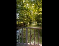 Collab Clips MPUGC - People floating down the river 