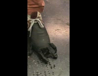 Man wears gloves on tennis shoes