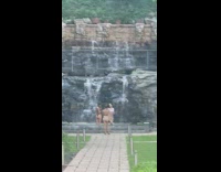 Collab IITW - 3 girls take picture inside apartment waterfall 