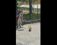 Man old english costume play flute bird audience