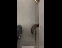 Animal tail moves on train