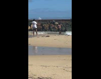 Shirtless guy poses on windy beach sand 