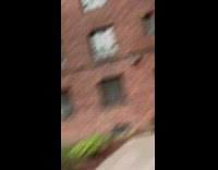 Guy gets chased by black turkey bird 