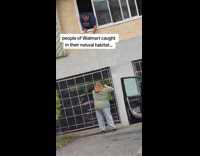 Collab ClipsIG - Couple lifts groceries from window 